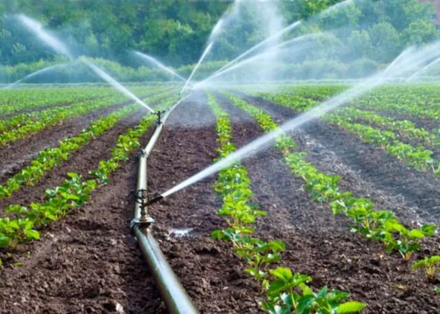 Water Management and Irrigation